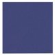 Napkin Abena Gastro 33x33cm 2-ply blue